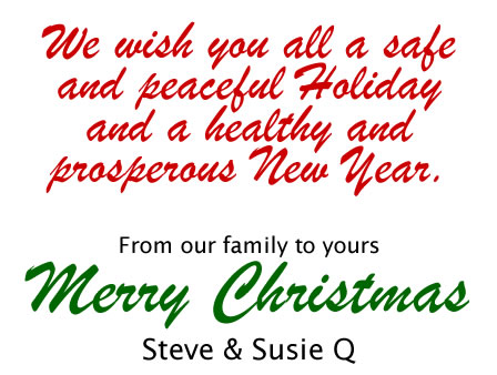 Merry Christmas Wish